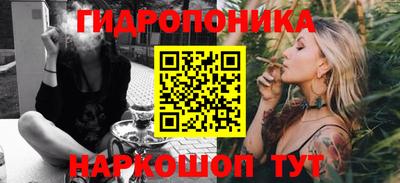 МДПВ Новодвинск